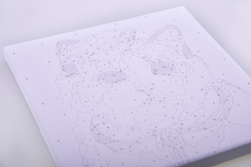 КРАСКА ПО ЦИФРАМ КАРТИНА На рамке 20х30 Вышивка