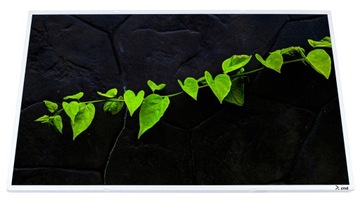 MATRYCA EKRAN LCD BŁYSK HD+ DO ASUS X751SJ X751SV