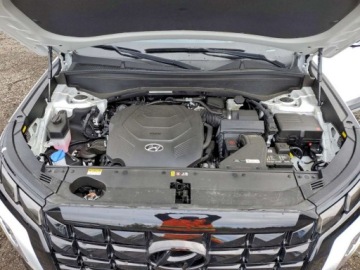 Hyundai 2025 Hyundai Palisade Calligraphy 2025 3.8l 3.8 Benzyna 291KM, zdjęcie 6