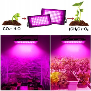 Lampa LED 100W do uprawy roślin o szerokim spektrum