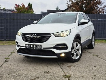 Opel 2019 Opel Grandland X, zdjęcie 13