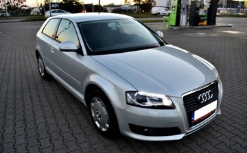 Audi A3 8P Hatchback 3d 1.6 102KM 2009 Audi A3 Klimatyzacja, Ksenony, Podgrzewane fotele, Czujniki parkowania tyl, zdjęcie 1