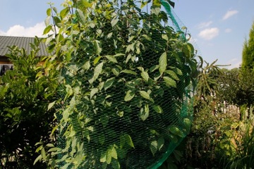 ЗАЩИТНАЯ СЕТЬ ОТ ПТИЦ ДЛЯ ПТИЦ И НАЧИНКИ ДЛЯ САДОВ для пруда 4х20м