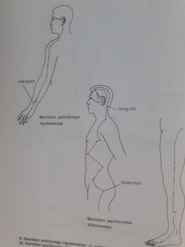 ЛЕЧЕБНЫЕ И ОМОЛОЖАЮЩИЕ КИТАЙСКИЕ УПРАЖНЕНИЯ