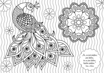 АНТИСТРЕССОВАЯ РАСКРАСКА ДЛЯ ВЗРОСЛЫХ