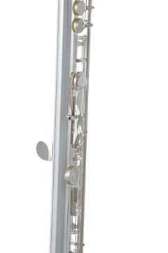 Roy Benson FL-402R C поперечная канавка