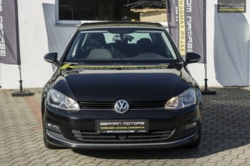 Volkswagen Golf VII Hatchback 3d 1.4 TSI 140KM 2014 Volkswagen Golf S-tronic / S-line / Kamera Cofania, zdjęcie 14