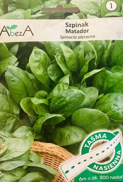 NASIONA NA TAŚMIE SZPINAK MATADOR 6 M!! 200 NASION