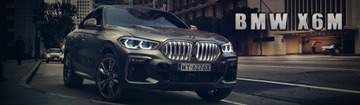 Auto na Akumulator BMW X6 Niebieskie Lakierowane