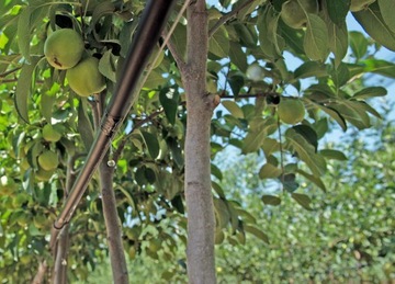 LINIA KROPLUJĄCA Z KOMPENSACJĄ NAWODNIENIE 50m KROPELKOWE WĄŻ 48el SET1 +20