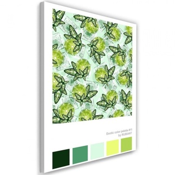 Obraz drukowany 50x70 limonki owocowy motyw owoc