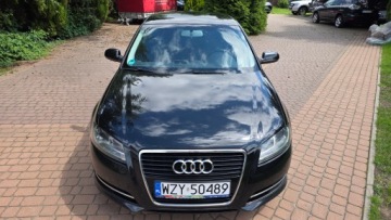 Audi A3 8P Hatchback 3d 1.6 TDI 90KM 2011 AUDI A3 1.6 TDI AMBITION 2011 KLIMATRONIK ALU SUPER STAN! FAKTURA MARŻA!, zdjęcie 9