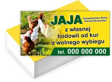 Wizytówki firmowe Foliowane 100szt duży wybór SPRZEDAŻ JAJ WIEJSKICH