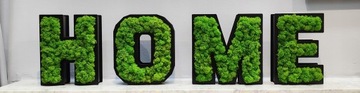 HOME 3D надпись, мох стоячий, ширина до 90 см, высота 21,5 см