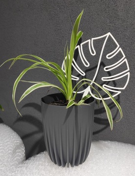 ПОДДЕРЖКА ДЛЯ ЦВЕТОВ ПЕРГОЛА МОНСТЕРА ЛИСТ 25см