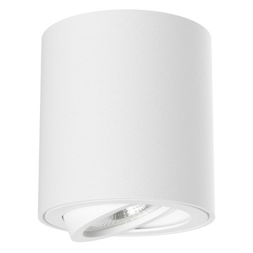 OPRAWA NATYNKOWA HALOGENOWA GU10 SPOT LED 4 KOLORY