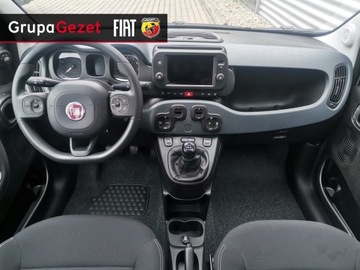 Fiat Panda III Hatchback 5d seria 4 1.2 LPG 69KM 2023 Fiat Panda Seria 6-1.2 69 KM LPG, zdjęcie 5