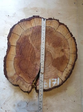 Кусочек дерева Mirabelka для смолы своими руками 31x29гр.4