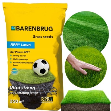 Trawa sportowa BARENBRUG RPR LAWN Play&Sport odporna na deptanie 5 KG