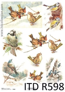 PAPIER RYŻOWY decoupage papiery A4 R598