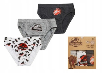 JURASSIC PARK MAJTKI SLIPKI SLIPY DLA DZIECKA BIO BAWEŁNA 3-PAK 2/3 LATA