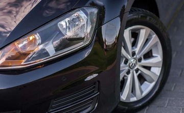Volkswagen Golf VII Variant 1.6 TDI BlueMotion  110KM 2015 Volkswagen Golf Volkswagen Golf 1.6 Diesel 110KM, zdjęcie 14
