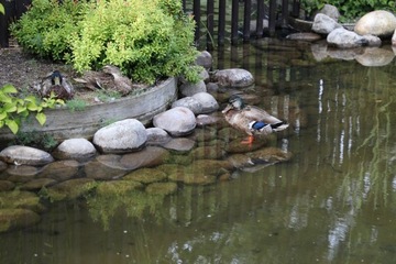 Георезина из США, пленка для прудов, пруды шириной 12,2 м погонных метров.