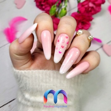 ГИБРИДНЫЙ СТАРТОВЫЙ НАБОР Malulac БАЗА-ТОП КРАСКА