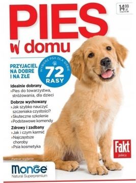 Pies w domu