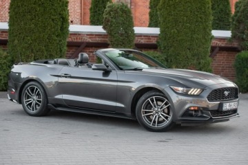 Ford Mustang VI Convertible 2.3 EcoBoost 317KM 2016 Ford Mustang Lift ! Cabrio 2.3i 317KM Super Stan !, zdjęcie 15