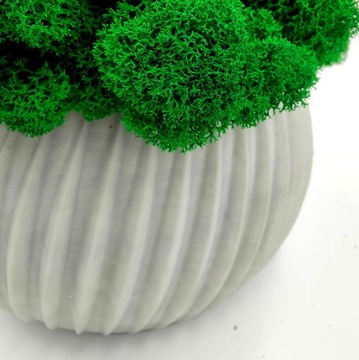 Вазон с мхом хроботек, 23 см, мох хроботек в сером горшке, 3D печать