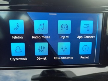 Volkswagen Golf VIII Hatchback 1.5 TSI EVO 130KM 2021 Volkswagen Golf Comfort Line, salon Polska, zdjęcie 23