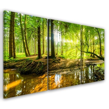 OBRAZ TRYPTYK Las Jezioro Natura 120x80