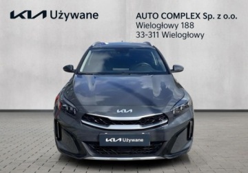 Kia XCeed Crossover Facelifting 1.5 T-GDi 160KM 2023 Kia XCeed Zakup Zdalny KIA XCEED 1.5 T-GDI 160KM Business Line 1.5 160KM, zdjęcie 20