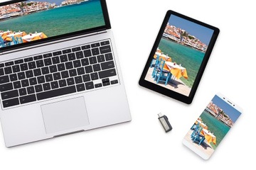 SanDisk Ultra Dual Drive USB-C 64 ГБ