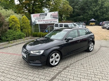 Audi A3 8V Hatchback 3d 2.0 TDI 150KM 2013 Audi A3 Sportback 2.0TDI 150KM 2013rok Xenon Led 5drzwi, zdjęcie 1