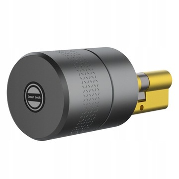 Inteligentny zamek z cylindrem czarny ZigBee TUYA