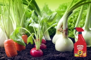 Polysect Спрей Инсектицид 750мл Тля Паутинный клещ Белокрылка Субстрал