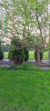 Спирали отпугивающие птиц СВЕТООТРАЖАЮЩИЕ стержни 6 шт.