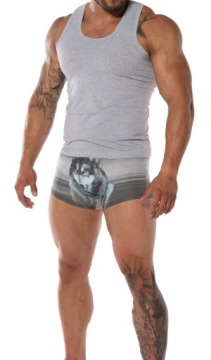 ФУТБОЛКА МУЖСКАЯ БЕЗРУКАВОВ, ХЛОПОК, L