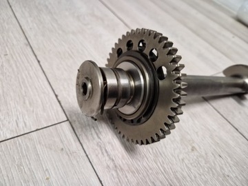 TRIUMPH SPEED TRIPLE 1050 WALEK BALANSER BALANSUJACY ST TIGER BALANS