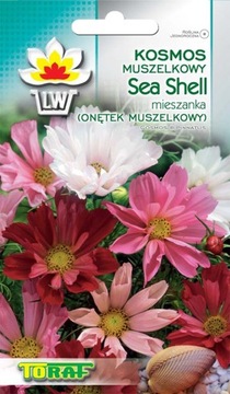 Onętek Sea Shell muszelkowy Kosmos nasiona Toraf