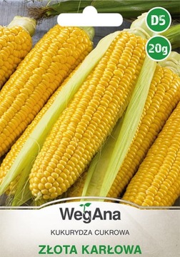 KUKURYDZA cukrowa Złota Karłowa NASIONA 20g