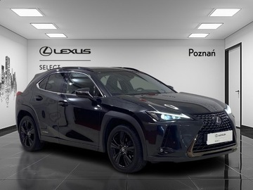 Lexus UX Crossover 250h 184KM 2022 Lexus UX 250h GPF F Impression 2WD Lexus UX 250h I, zdjęcie 7