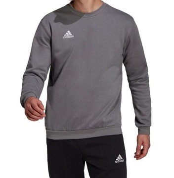 Bluza męska adidas Entrada 22 Sweat Top szara