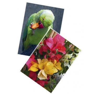 Folia Laminująca A3 303x426 mm 100 mic 100 szt. Argo folia do laminacji