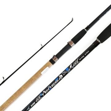 JAXON WĘDKA SPINNING 10-40g WJ-TNS27040