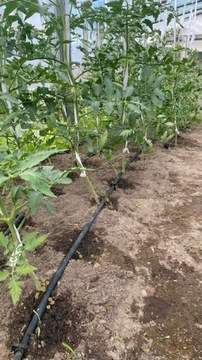 КАПЕЛЬНАЯ ЛИНИЯ Капельного орошения 100M +90 элементов Шланг для потоотделения сада