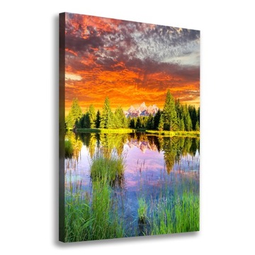 Foto obraz na płótnie Jezioro w lesie 70x100 cm