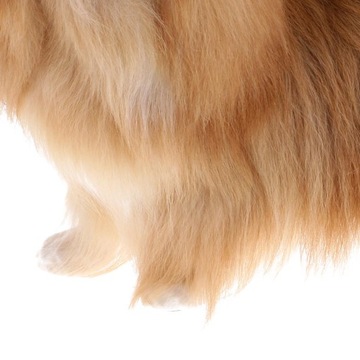 Wypchana Zabawka Pluszowa, Figurka Zwierzątka Pies Pekińczyk,